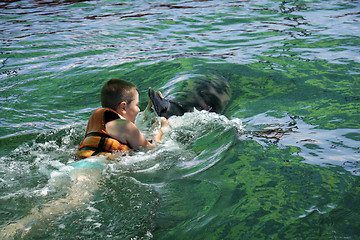 Image showing Boy swimming with dolphin rear view