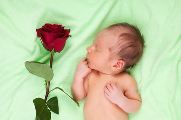 Image showing Happy newborn sleeping