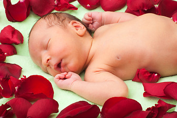 Image showing Baby sleeping in flowers