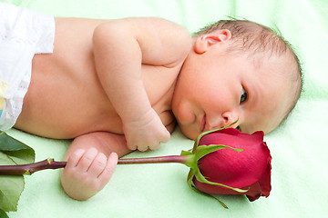 Image showing newborn holding rose