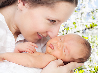 Image showing Mother with newborn in cherry tree garden