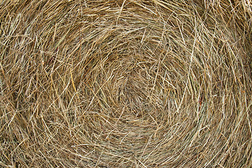 Image showing Hay background