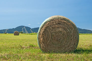 Image showing Bales of hay in the green field