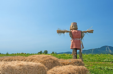 Image showing Scarecrow on the farmland