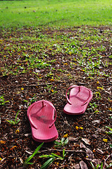 Image showing slippers on grass field