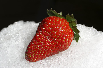 Image showing Strawberry