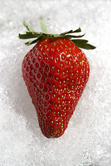 Image showing Strawberry