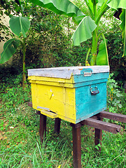 Image showing Beehive