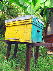 Image showing Beehive