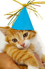 Image showing Kitten with hat 