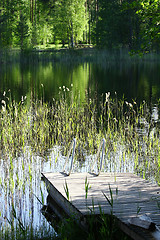 Image showing Forest Lake And Wood Deck