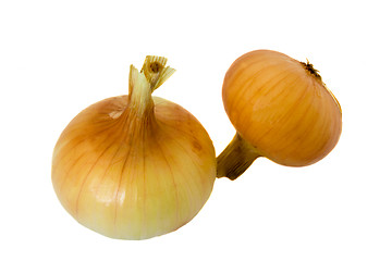 Image showing Onions