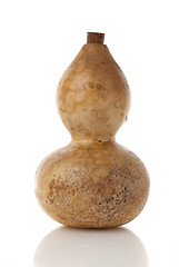 Image showing Gourd