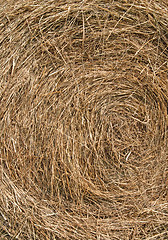 Image showing Golden hay background