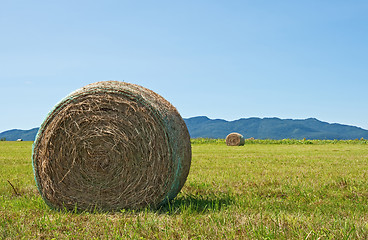 Image showing Bale of hay in the summer field
