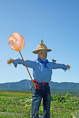 Image showing Scarecrow with butterfly net