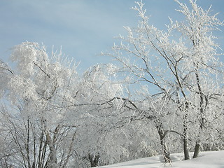 Image showing Rime