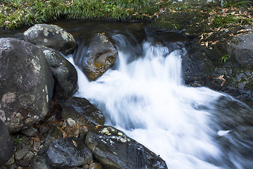 Image showing Cascade falls over mossy rocks