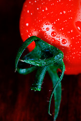 Image showing wet tomato 