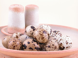 Image showing quail eggs