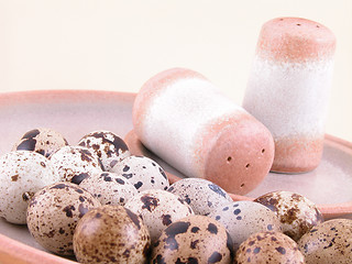 Image showing quail eggs