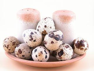 Image showing quail eggs