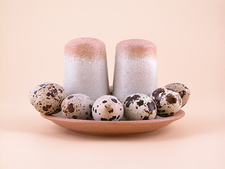 Image showing quail eggs