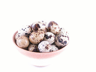 Image showing bowl of quail eggs