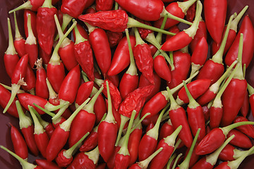 Image showing chili background