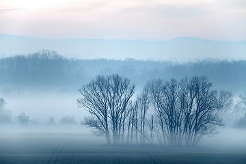 Image showing Fog