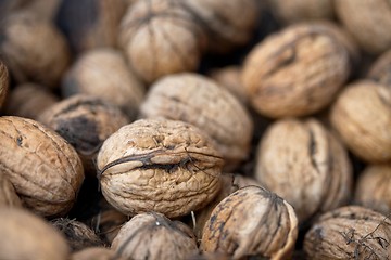 Image showing Walnuts