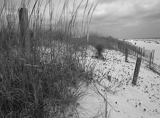 Image showing Dunes