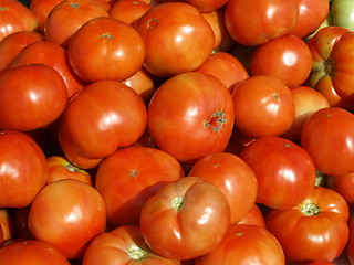 Image showing Tomatoes