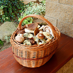 Image showing Mushrooms in basket