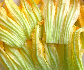 Image showing Courgette flowers