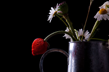 Image showing Still Life