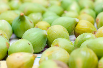 Image showing Fig harvesting