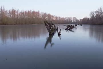 Image showing Frozen lake