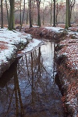 Image showing Creek in winter
