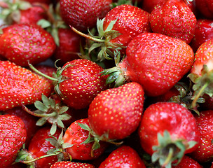 Image showing Ripe red strawberry