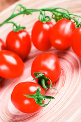 Image showing tomatoes bunch