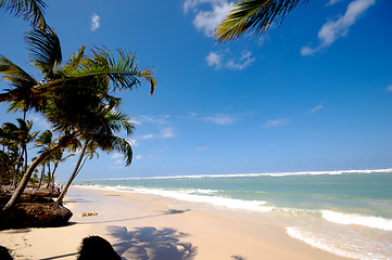 Image showing Exotic caribbean beach