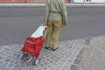 Image showing Senior shopping