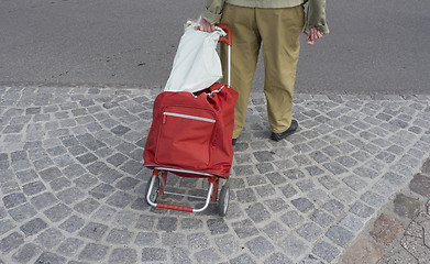 Image showing Female senior shopping