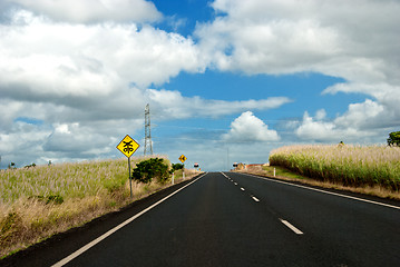 Image showing Road Signs in Queensland