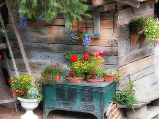 Image showing Dolomites Cottage, Italy, August 2003