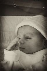 Image showing Newborn Baby