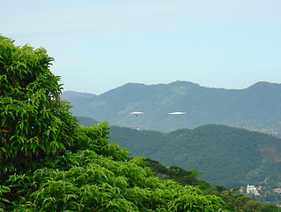 Image showing Hang gliding in the hills