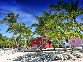 Image showing Small and Coloured Homes on the Coast of Santo Domingo