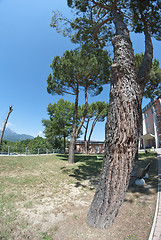 Image showing Park in Barga, Italy